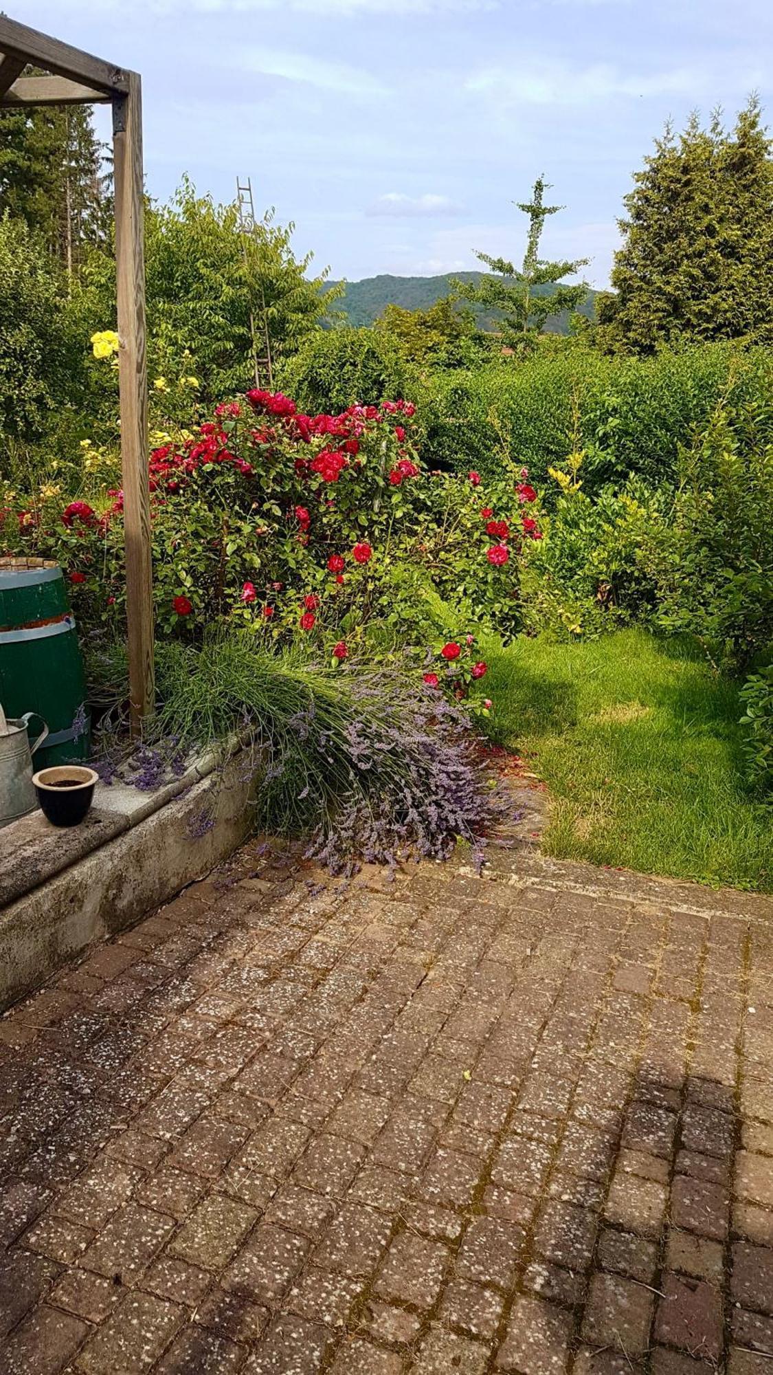 Ferienwohnung Kespergarten Witzenhausen Exteriér fotografie